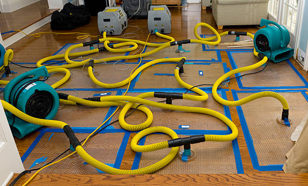 Professional Storm Water Damage Restoration technician working in Brownsville, MN